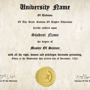 University/ College Diploma